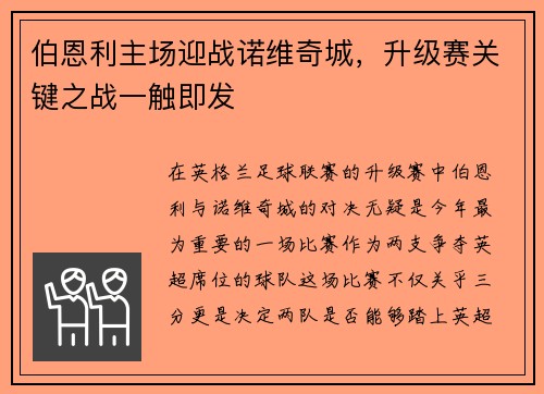 伯恩利主场迎战诺维奇城，升级赛关键之战一触即发